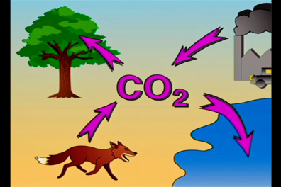 Le cycle du carbone - Les principales étapes - 13mn 08s